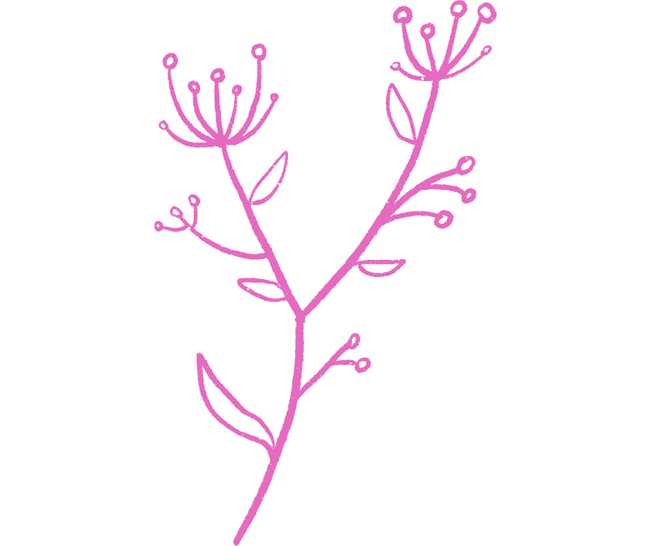 Pink Flowers